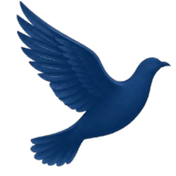 Koridge Capital logo